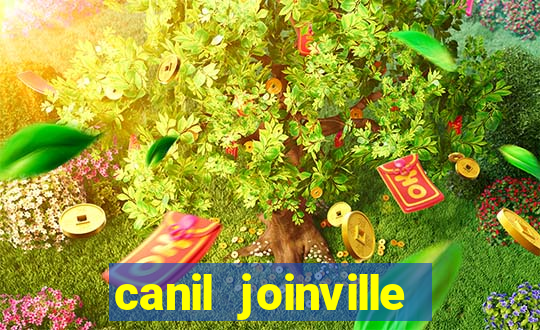 canil joinville vila nova